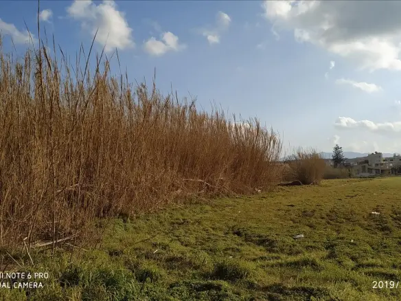 Land Of 3000 M² In Crete