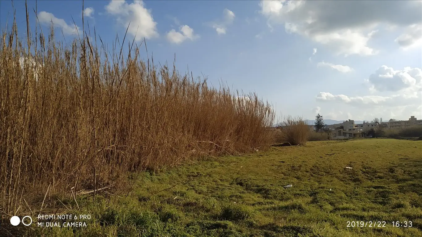 Land Of 3000 M² In Crete
