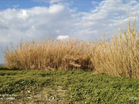 Land Of 3000 M² In Crete