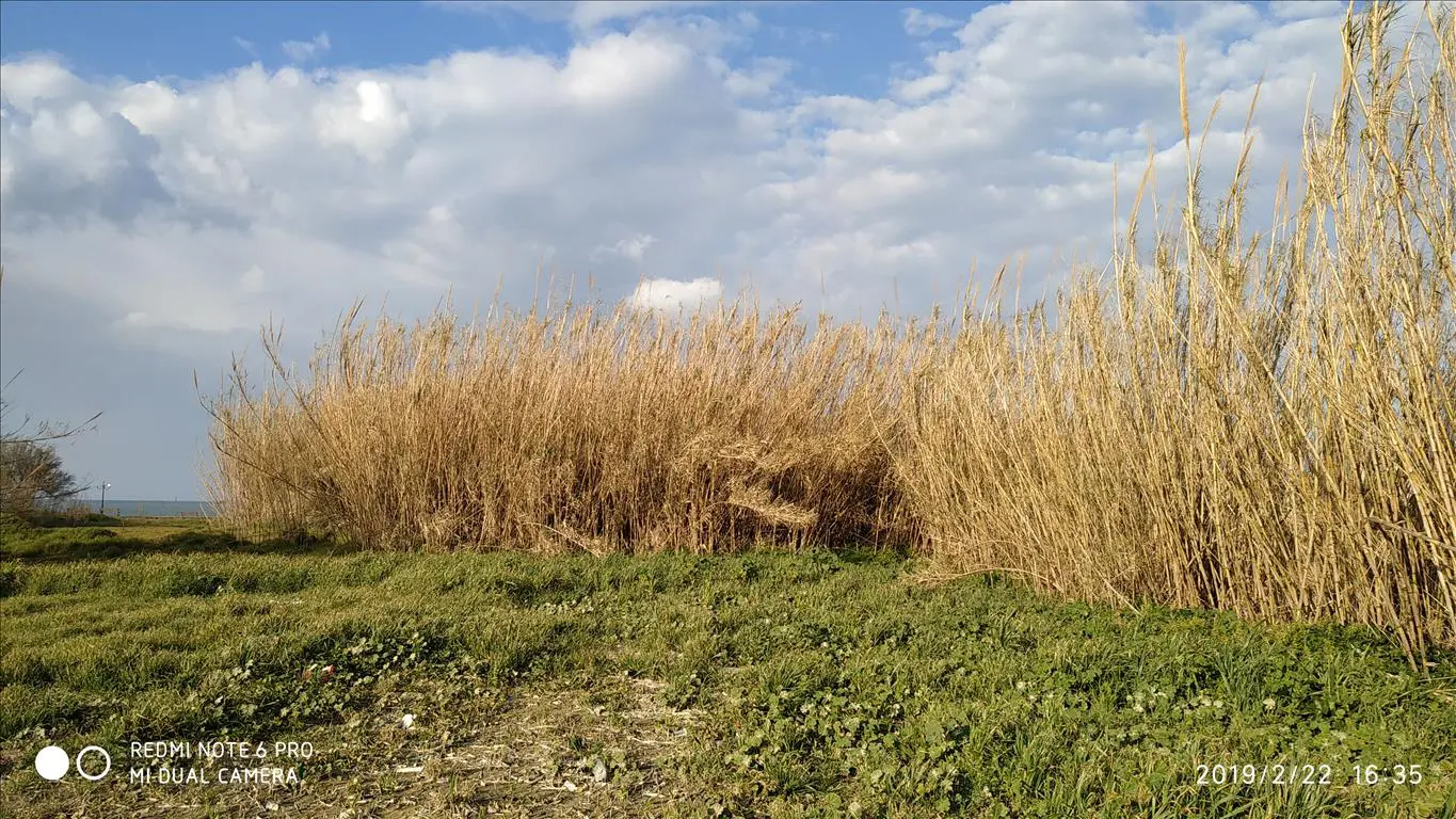 Land Of 3000 M² In Crete