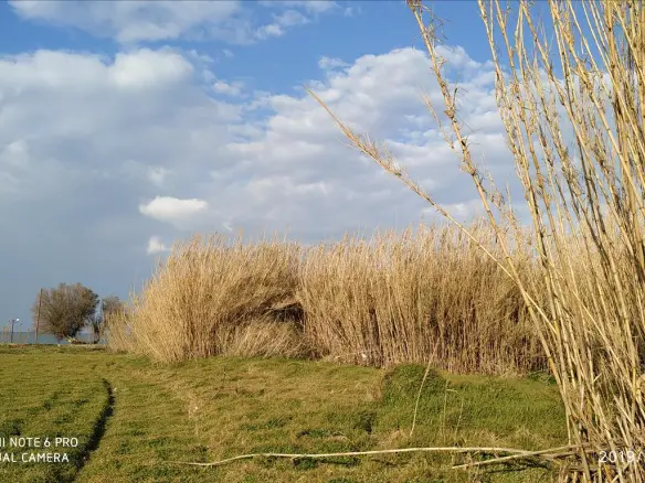 Land Of 3000 M² In Crete