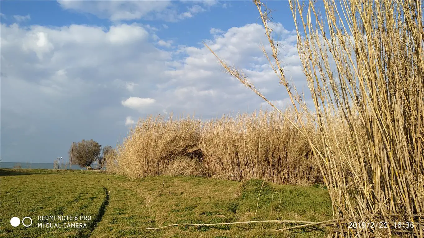 Land Of 3000 M² In Crete