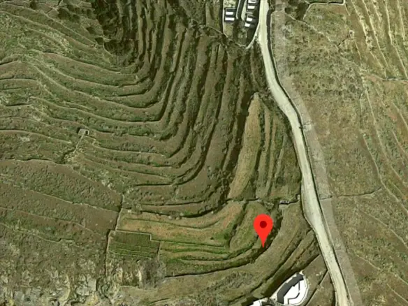 Land Of 5000 M² In Cyclades