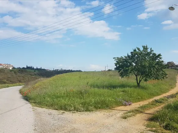 Land Of 1650 M² In The Suburbs Of Thessaloniki