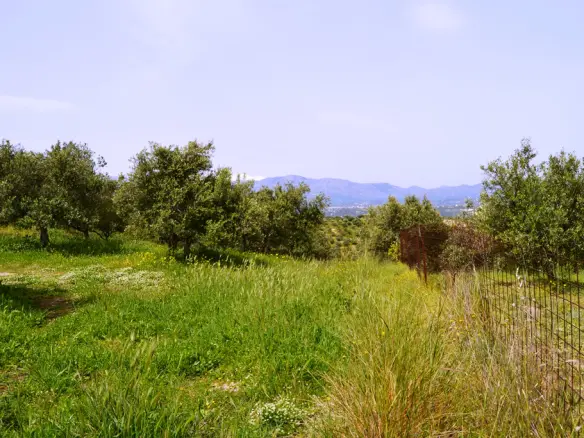 Land Of 2900 M² In Crete