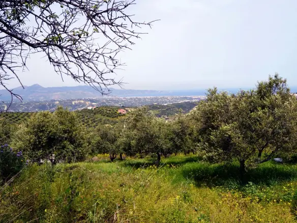 Land Of 2900 M² In Crete