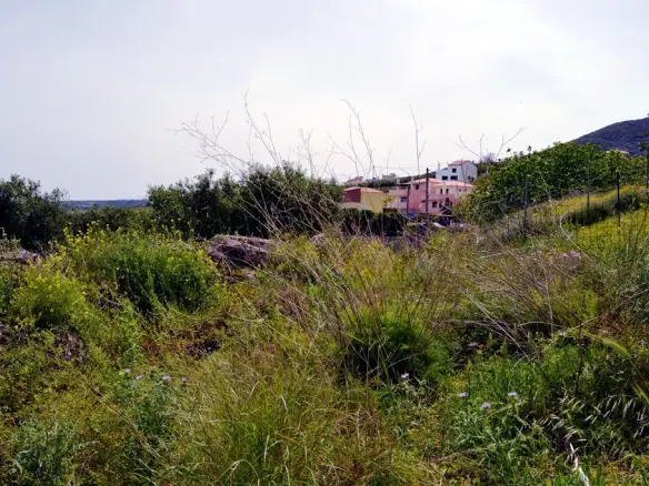 Land Of 2900 M² In Crete