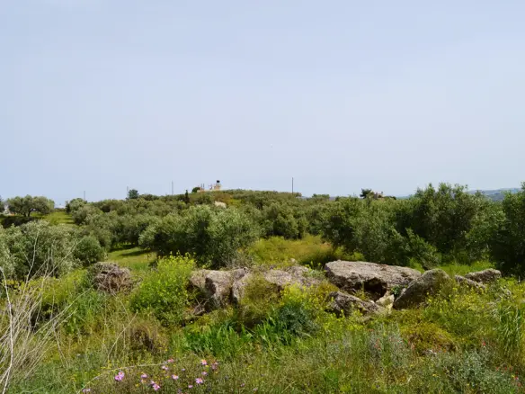 Land Of 2900 M² In Crete