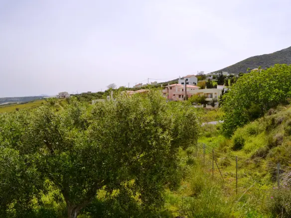 Land Of 2900 M² In Crete