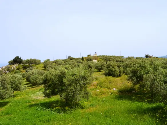 Land Of 2900 M² In Crete