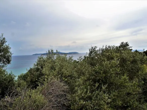 Land Of 5000 M² In Corfu