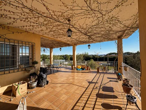 5-bedroom Villa In Almansa, Spain (21.900 M² Plot)