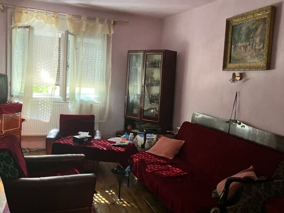 Rural Property Of X With Spacious Design In Western Romania