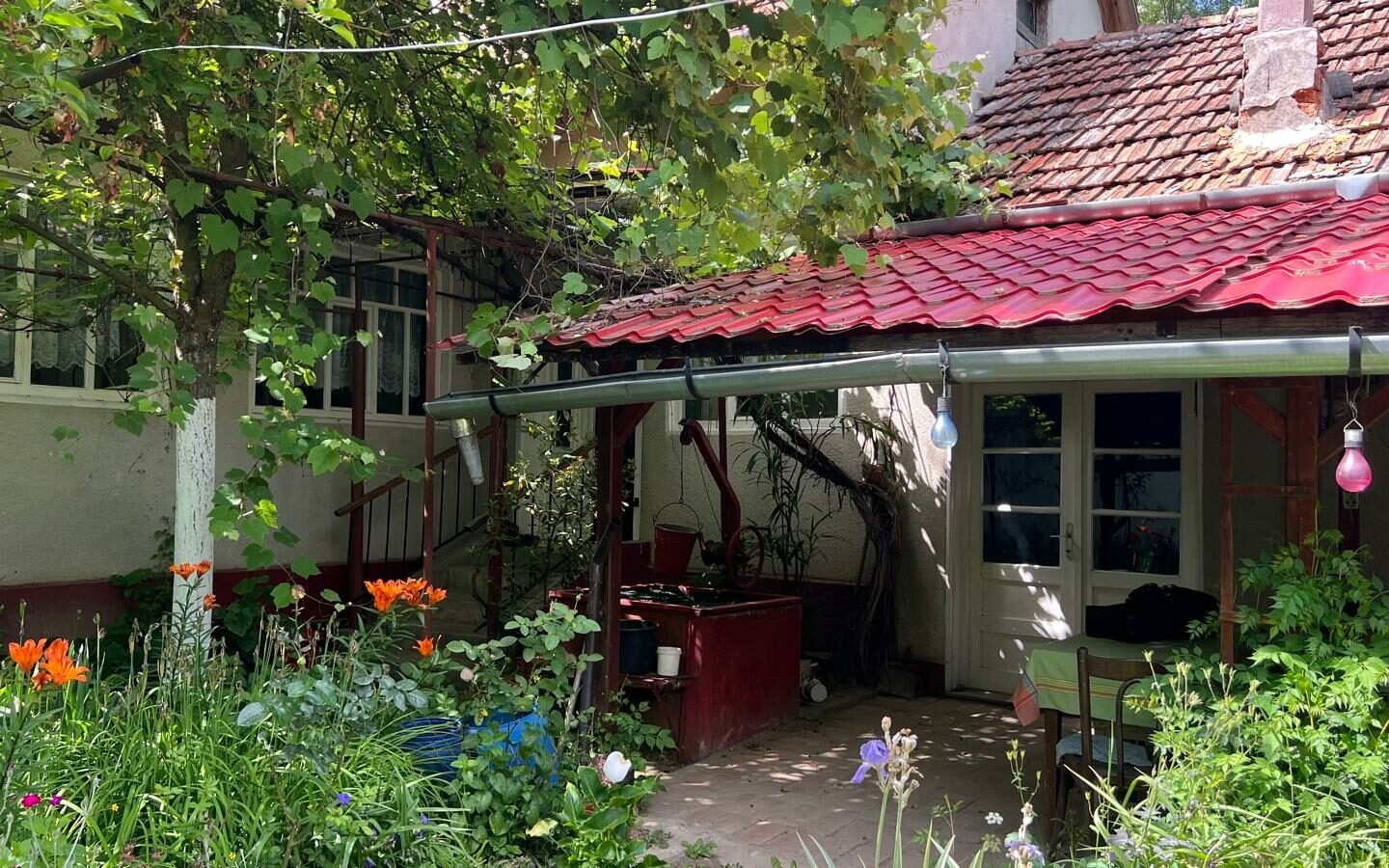 Rural Property Of X With Spacious Design In Western Romania