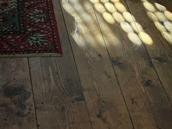Rural Property Of X With Spacious Design In Western Romania