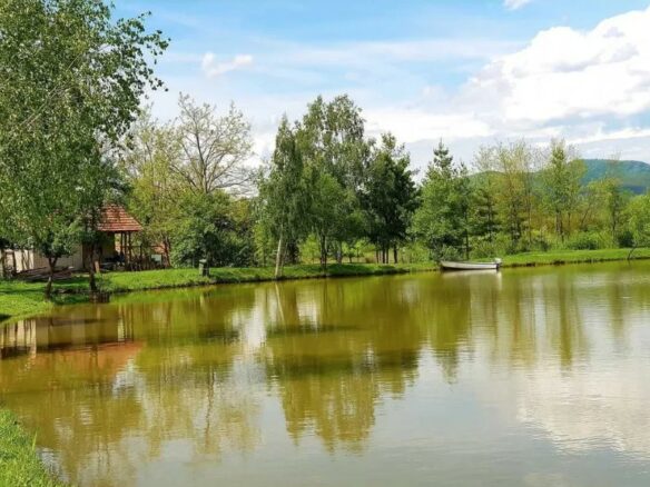 Rural Property Of X With Spacious Design In Western Romania