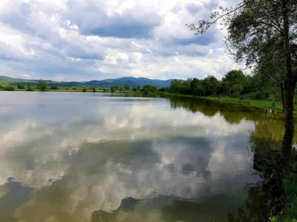 Rural Property Of X With Spacious Design In Western Romania