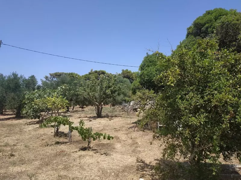 02-IMG_20210722_144643