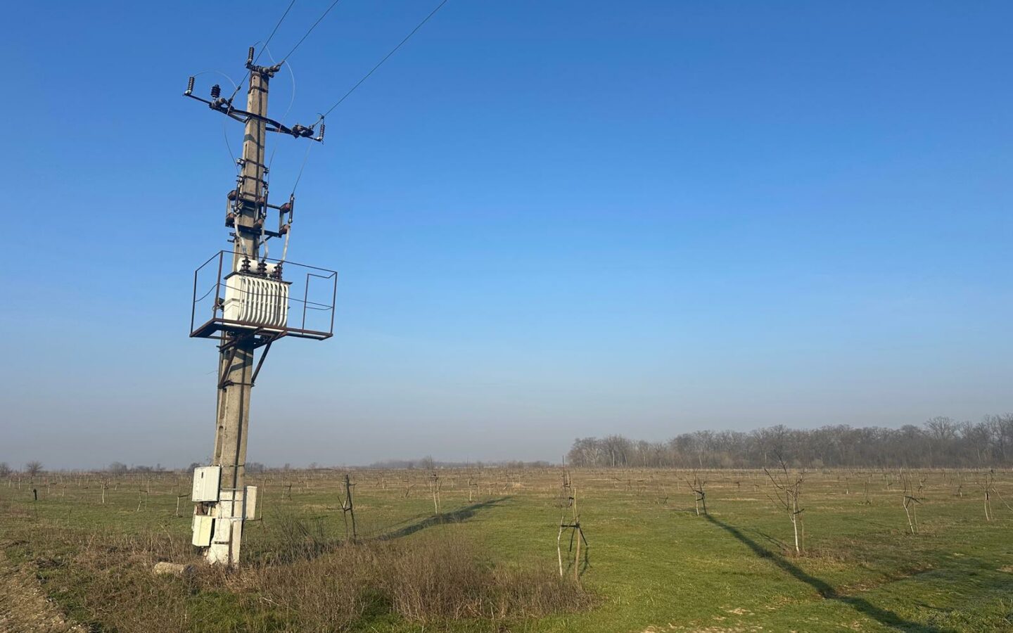 Agricultural Business Of 74.9 Ha Irrigated In Walnut Orchard