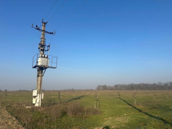 Agricultural Business Of 74.9 Ha Irrigated In Walnut Orchard