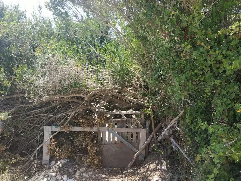 35-IMG_20210722_143705