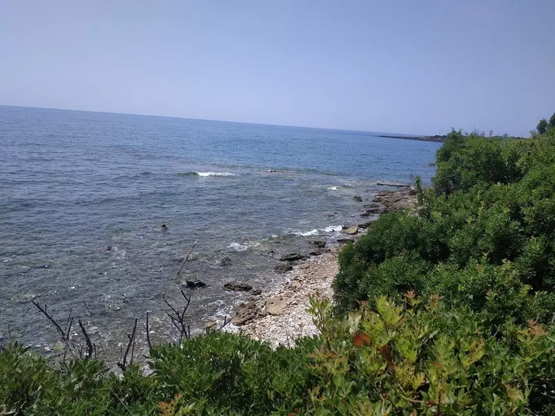 36-IMG_20210722_143627