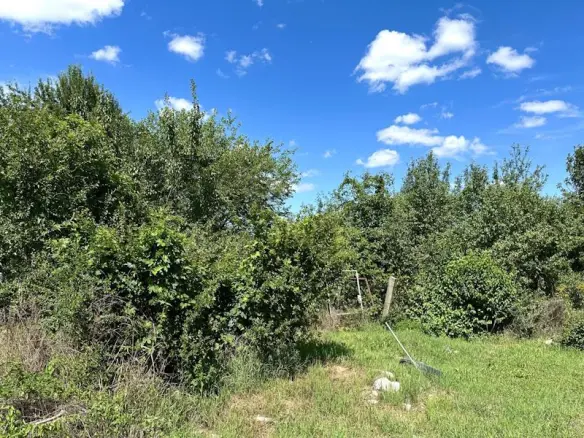 House Of 100 M² In Pacsa, Zala