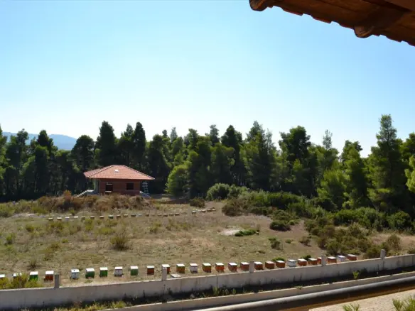 3-bedroom Maisonette In Kassandra, Greece (360 M²)