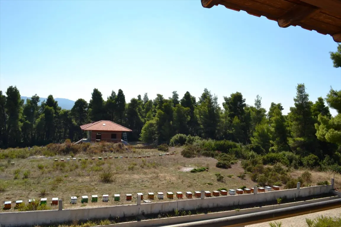 Maisonette Of 360 M² In Kassandra, Chalkidiki