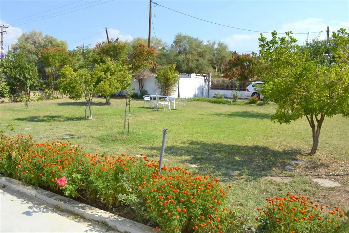 Detached House Of 200 M² In Kassandra, Chalkidiki