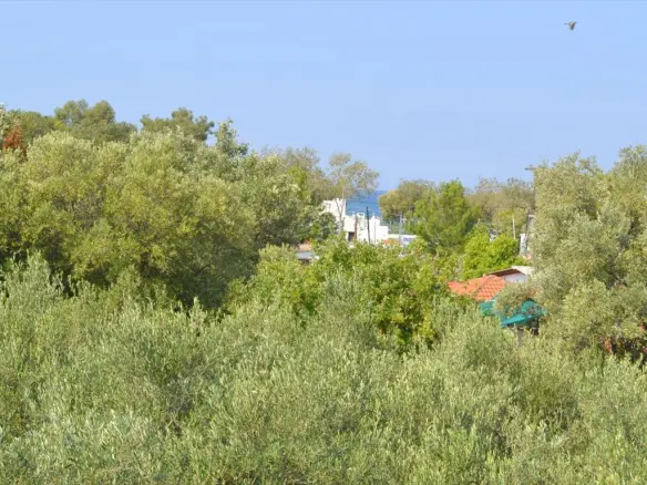 Detached House Of 200 M² In Kassandra, Chalkidiki