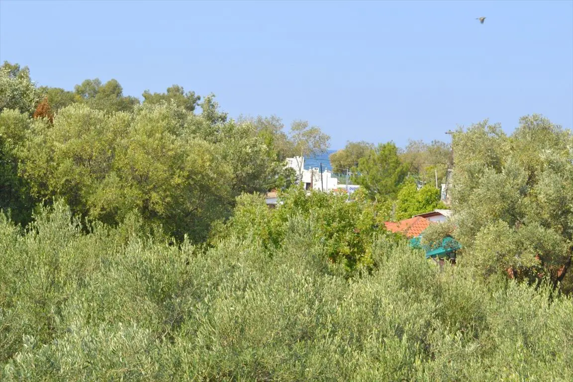 Detached House Of 200 M² In Kassandra, Chalkidiki