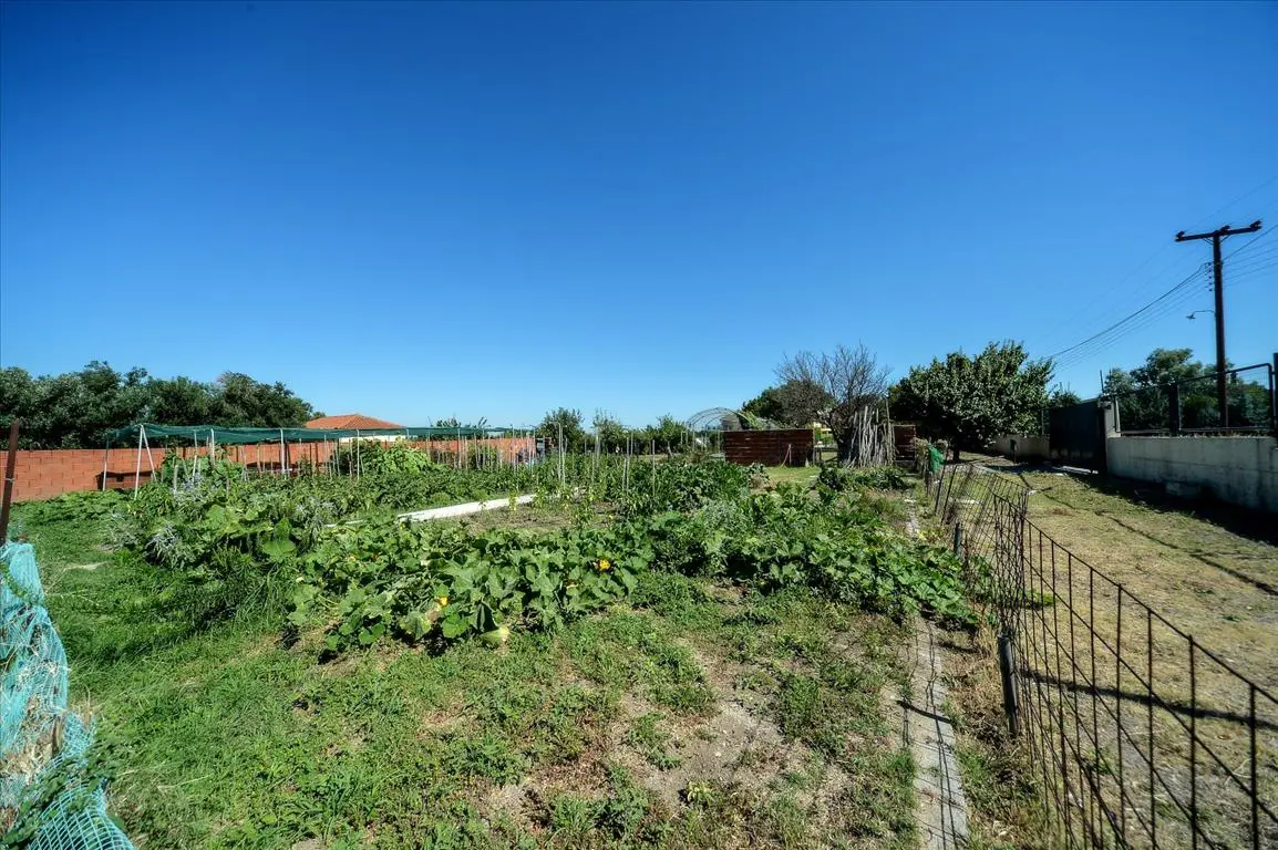 Villa Of 1168 M² In The Suburbs Of Thessaloniki