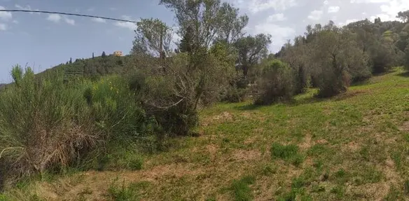2103 M² Plot Available In Corfu