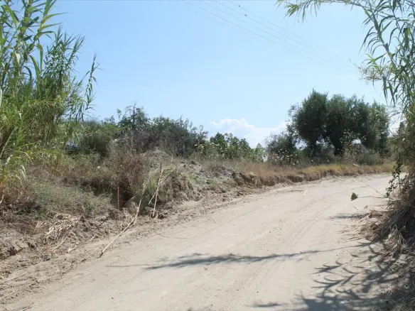 Land Of 200 M² In Kassandra, Chalkidiki