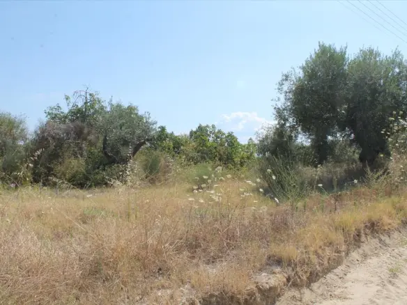 Land Of 200 M² In Kassandra, Chalkidiki