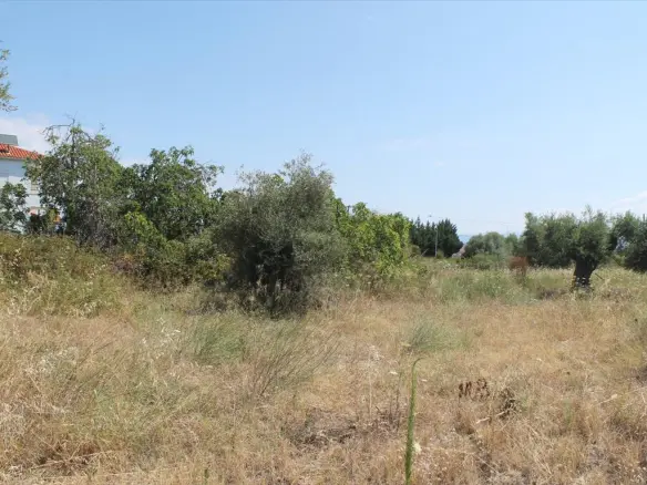 Land Of 200 M² In Kassandra, Chalkidiki