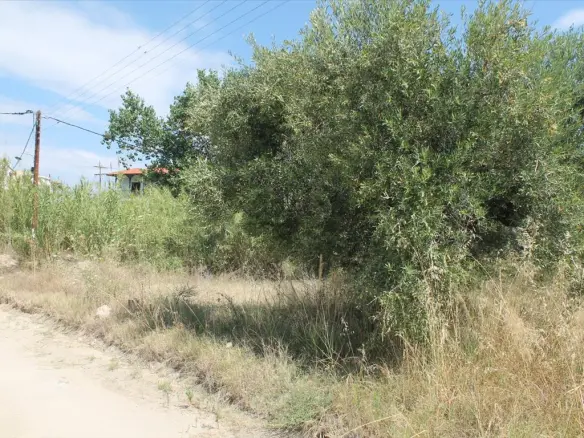 Land Of 200 M² In Kassandra, Chalkidiki