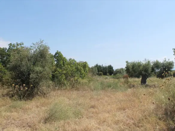 Land Of 200 M² In Kassandra, Chalkidiki