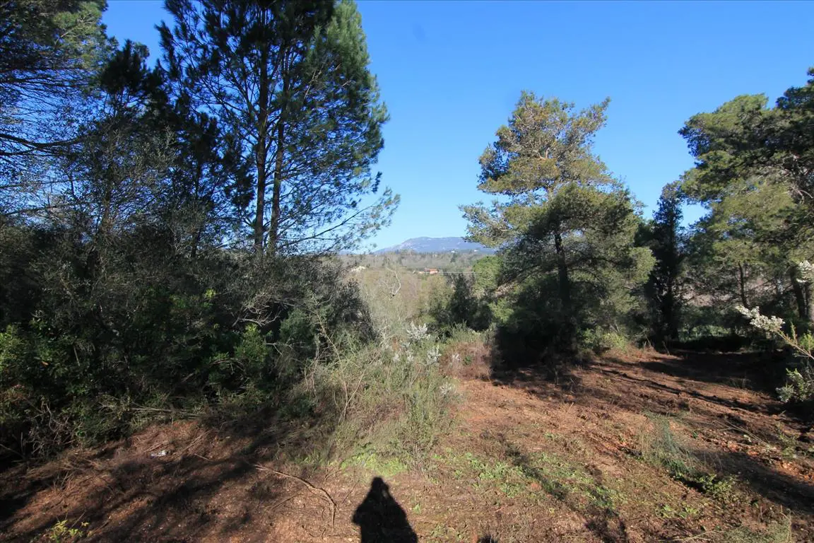 Land Of 11017 M² In Corfu