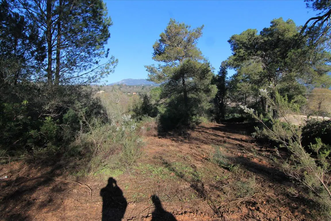 Land Of 11017 M² In Corfu