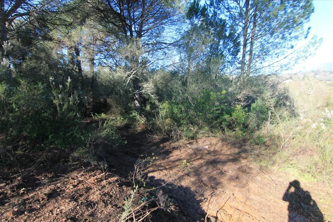Land Of 11017 M² In Corfu