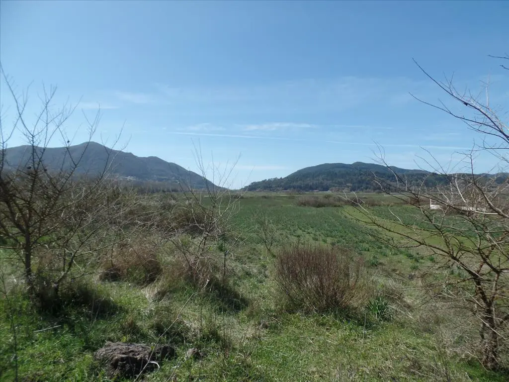 Land Of 4000 M² In Corfu