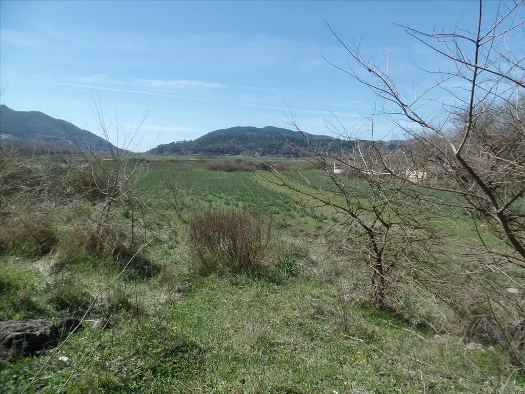 Land Of 4000 M² In Corfu
