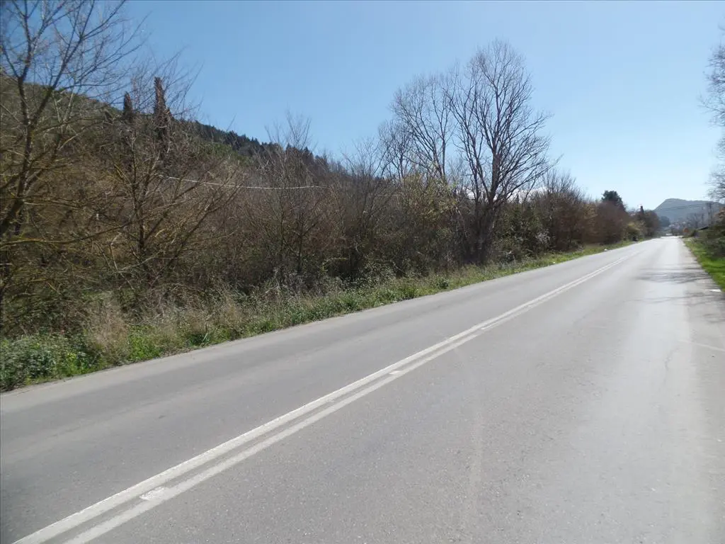 Land Of 4000 M² In Corfu