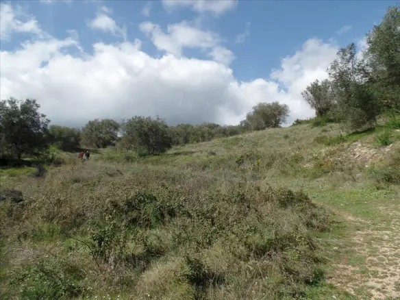 Land Of 6912 M² In Corfu