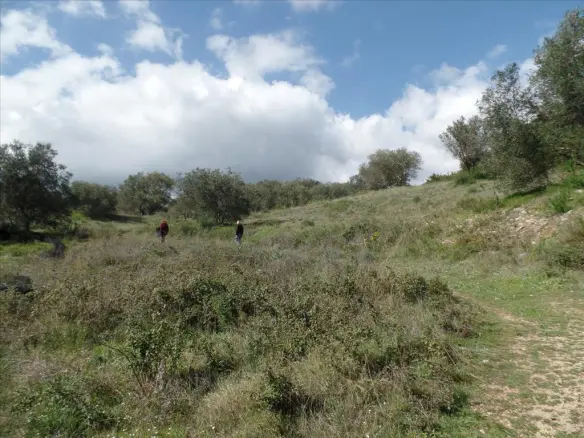Land Of 6912 M² In Corfu