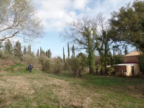 For Sale Land 35000 M² In Corfu
