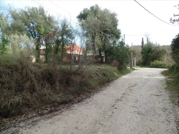 For Sale Land 35000 M² In Corfu