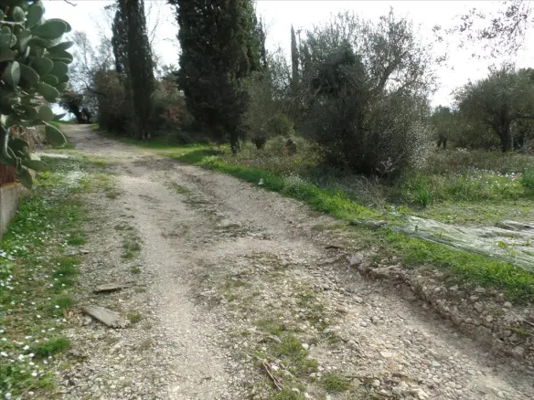For Sale Land 35000 M² In Corfu